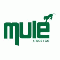 Mule Lighting Logo PNG Vector