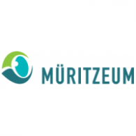Müritzeum Logo Vector