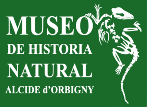 Museo de Historia Natural Alcide d'Orbigny Logo PNG Vector