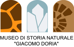 Museo di Storia Naturale Giacomo Doria Logo PNG Vector