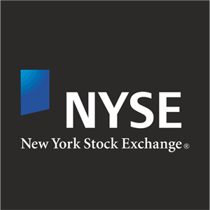 NYSE Logo PNG Vector
