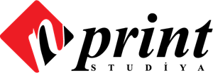 N Print Studiya Logo PNG Vector