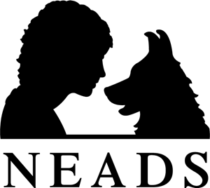 Neads Logo PNG Vector