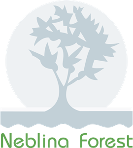 Neblina Forest Logo Vector