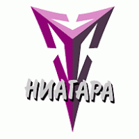 Niagara Logo Vector