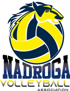 Nadroga Volleyball Association Logo PNG Vector