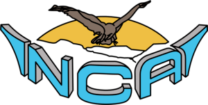 Namibia commercial aviation Logo PNG Vector