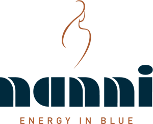 NANNI Industries Logo Vector