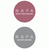 napa Logo PNG Vector