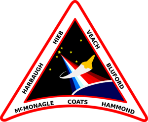 Nasa's STS-39 Mission Logo PNG Vector