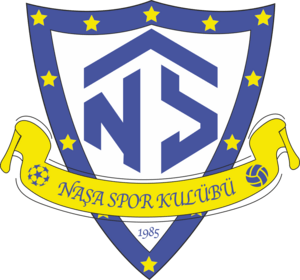 Naşaspor Logo PNG Vector