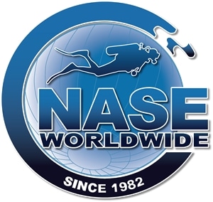 NASE Worldwide Logo PNG Vector