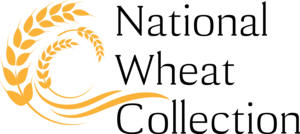 National Wheat Collection Logo PNG Vector