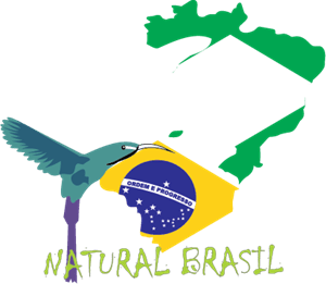 natural brasil Logo Vector