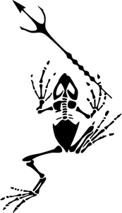 Navy Seals Frogman Logo PNG Vector