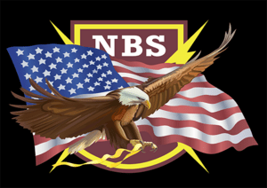 NBS Eagle Logo PNG Vector