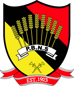 Negeri Sembilan FA 2015- Logo Vector