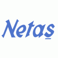 Netaş Logo PNG Vector