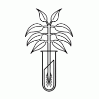 New York Botanics LLC Logo PNG Vector