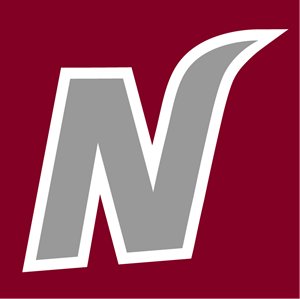 Nexen Heroes insignia Logo Vector