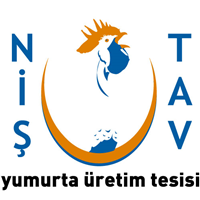 Niştav Yumurta Logo PNG Vector