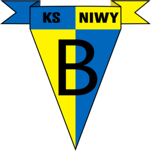 Niwy Brudzowice Logo PNG Vector