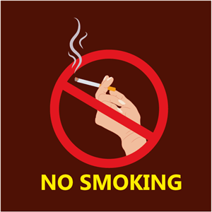 NO SMOKING HERE Logo PNG Vector