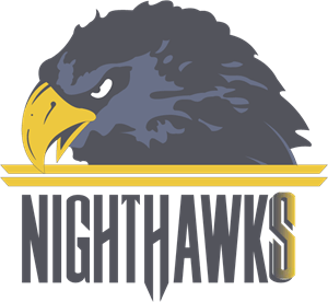 NORFOLK NIGHTHAWKS Logo PNG Vector