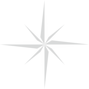 North Star Logo PNG Vector