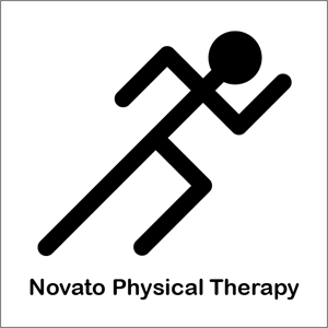 Novato Physical Therapy Logo PNG Vector