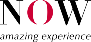 Now Amazing Experience Logo Vector