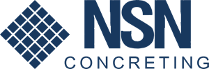 NSN Logo PNG Vector