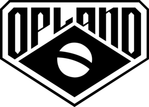 O PLANO Logo PNG Vector