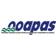 OOAPAS Logo PNG Vector
