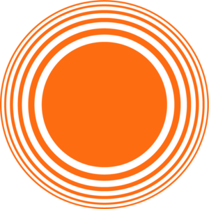 Orange Belt Stages Logo PNG Vector