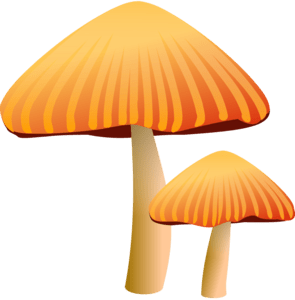 Orange Mushroom Logo PNG Vector
