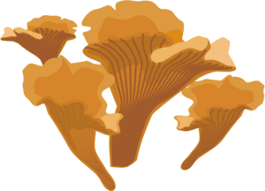 Orange Wrinkled Mushrooms Logo PNG Vector