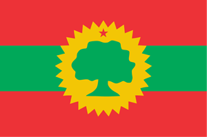 Oromia Flag Logo PNG Vector
