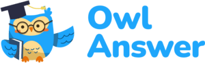 Owl Answer Logo PNG Vector
