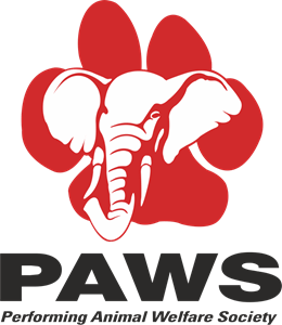 PAWS Logo PNG Vector
