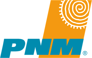 PNM Logo PNG Vector