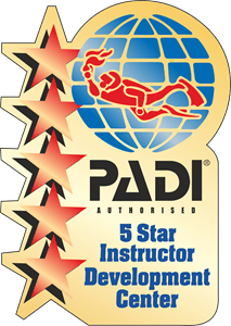 Padi Logo Vector