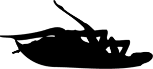 Papa Roach Logo PNG Vector