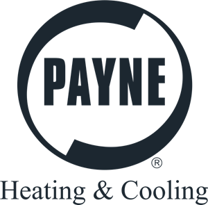 Payne Logo Vector