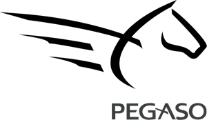 Pegaso Logo Vector