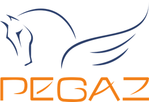 Pegaz Logo PNG Vector