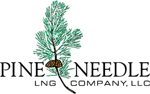Pine Needle Logo PNG Vector