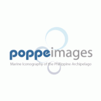 Poppeimages Logo PNG Vector