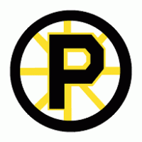 Providence Bruins Logo Vector