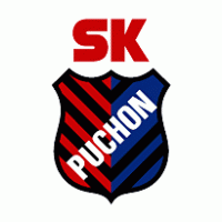 Puchon Logo PNG Vector